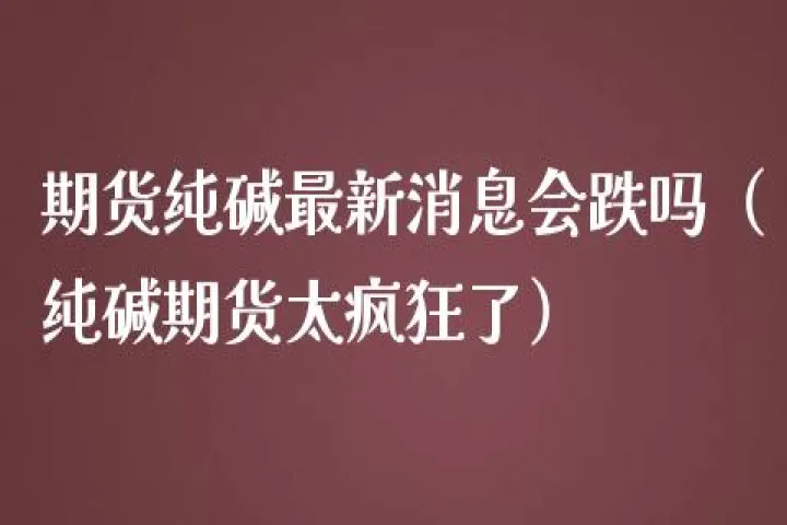 纯碱期货大涨了(纯碱期货还会继续大涨吗) (https://www.njaxzs.com/) 期货投资 第1张