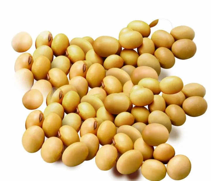 大豆期货农产品期货品种（大豆期货市场） (https://www.njaxzs.com/) 内盘期货 第1张