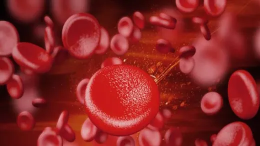 买玻璃是在期货市场买吗(买玻璃是在期货市场买吗安全吗) (https://www.njaxzs.com/) 黄金期货 第1张