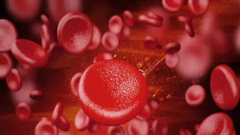 期货平单是什么意思啊(期货平单是什么意思啊怎么看) (https://www.njaxzs.com/) 期货直播间 第1张