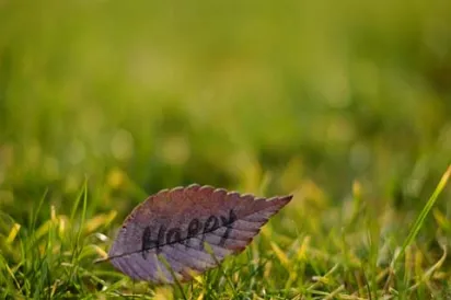 国债期货阶段性料止跌(国债期货阶段性料止跌是啥意思) (https://www.njaxzs.com/) 期货直播间 第1张