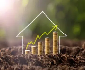 国内期货豆油保证金怎么算(国内期货豆油保证金怎么算出来的) (https://www.njaxzs.com/) 黄金期货 第1张