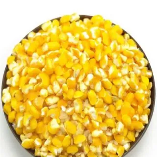 玉米的期货介绍(玉米期货走势) (https://www.njaxzs.com/) 期货行情 第1张