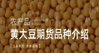 黄大豆期货供需关系(黄大豆期货技术分析) (https://www.njaxzs.com/) 期货行情 第1张