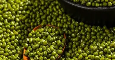 大陆期货3月29日豆类品种日评(豆类期货有哪些) (https://www.njaxzs.com/) 内盘期货 第1张