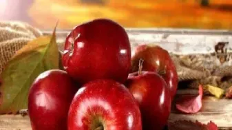 期货苹果一手(期货苹果一手多少吨) (https://www.njaxzs.com/) 内盘期货 第1张