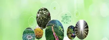 发展农产品期货市场势在必行(发展农产品期货交易市场的重要意义) (https://www.njaxzs.com/) 期货直播间 第1张