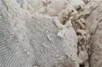 春节前怎么交易纸浆期货(纸浆期货怎么买卖) (https://www.njaxzs.com/) 期货开户 第1张