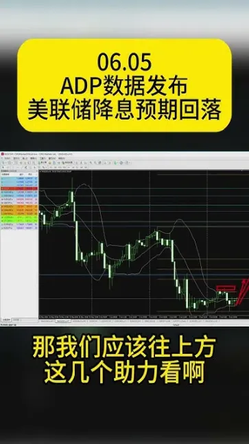 黄金外汇原油直播间(黄金原油直播间纳指直播间) (https://www.njaxzs.com/) 期货开户 第1张