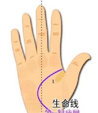 期货生命线图解(期货生命线图解分析) (https://www.njaxzs.com/) 黄金期货 第1张