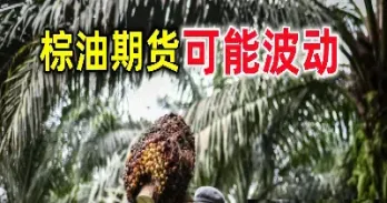 棕榈油期货持仓限制(棕榈油期货持仓限制多少) (https://www.njaxzs.com/) 期货投资 第1张