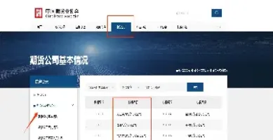 zsh99期货(99期货网) (https://www.njaxzs.com/) 黄金期货 第1张