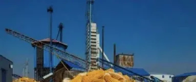 大连玉米期货价格逆势上涨(大连玉米期货价格逆势上涨原因) (https://www.njaxzs.com/) 内盘期货 第1张