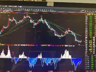 期货指标速率(期货指标速率计算公式) (https://www.njaxzs.com/) 黄金期货 第1张