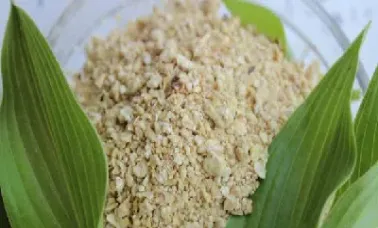 菜粕期货2103(菜粕期货2109行情走势分析) (https://www.njaxzs.com/) 期货直播间 第1张