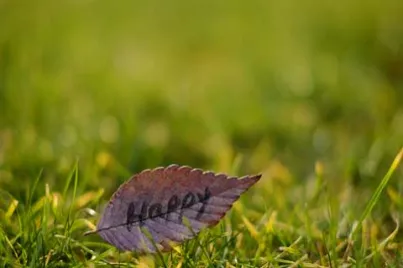 期货多少风险率会强平(期货多少风险率会强平一点) (https://www.njaxzs.com/) 期货直播间 第1张