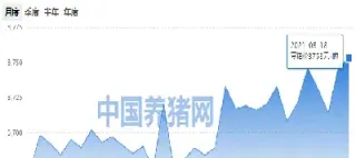 追随豆粕期货涨势(追随豆粕期货涨势的股票) (https://www.njaxzs.com/) 期货行情 第1张