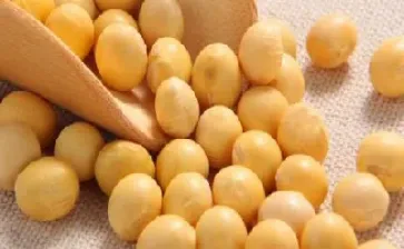 大豆期货触及五个月低位(大豆期货下跌) (https://www.njaxzs.com/) 期货直播间 第1张