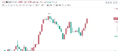 23日纽约棉花期货价格小幅上涨(23日纽约棉花期货价格小幅上涨的原因) (https://www.njaxzs.com/) 期货直播间 第1张