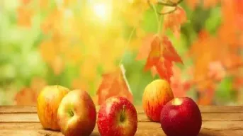 影响期货苹果的因素有(影响期货苹果的因素有哪些) (https://www.njaxzs.com/) 内盘期货 第1张