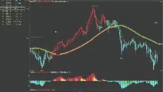 东莞外汇期货直播间(东莞外汇期货直播间在哪) (https://www.njaxzs.com/) 内盘期货 第1张