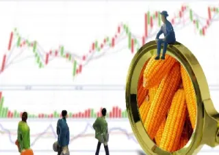 5月29日大连玉米期货午盘行情(5月29日大连玉米期货午盘行情走势) (https://www.njaxzs.com/) 内盘期货 第1张