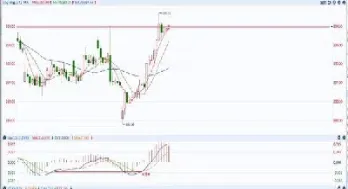 沪金期货历年走势图(沪金期货历年走势图表) (https://www.njaxzs.com/) 原油期货 第1张