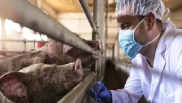 7月生猪期货(7月生猪期货特殊性) (https://www.njaxzs.com/) 期货投资 第1张