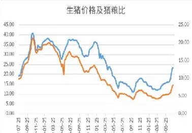 豆粕期货多空力量(豆粕期货限仓多少手) (https://www.njaxzs.com/) 期货投资 第1张