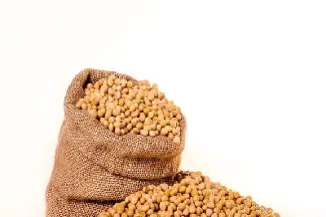 如何做豆粕商品期货(如何做豆粕商品期货交易) (https://www.njaxzs.com/) 原油期货 第1张