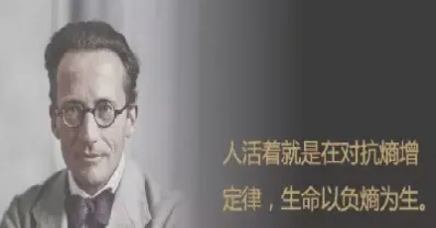 以期货交易为生的人(以期货交易为生的人怎样才能成功) (https://www.njaxzs.com/) 期货投资 第1张