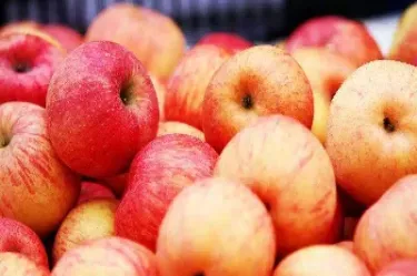 4月30日红枣期货上市(4月30日红枣期货上市时间) (https://www.njaxzs.com/) 内盘期货 第1张