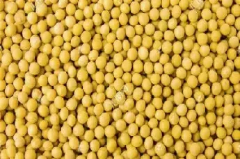 期货中的豆二(期货中的豆二是什么) (https://www.njaxzs.com/) 期货直播间 第1张