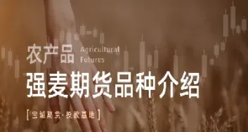 普麦期货基本概况及全方位介绍(普麦期货怎么没有交易量) (https://www.njaxzs.com/) 期货开户 第1张