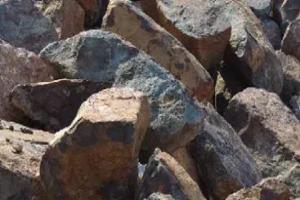 我国铁矿石期货国际化启动(我国铁矿石期货国际化启动资金) (https://www.njaxzs.com/) 期货投资 第1张