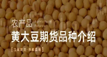 黄豆期货前景如何看(黄豆期货实时走势图) (https://www.njaxzs.com/) 内盘期货 第1张