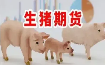 生猪期货场外交易是利好还是利空(生猪期货跟着什么涨跌) (https://www.njaxzs.com/) 期货行情 第1张