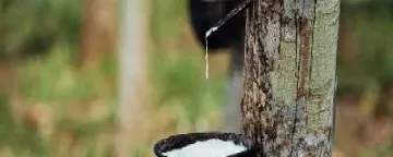 橡胶期货升水的逻辑(橡胶期货涨停是几个点) (https://www.njaxzs.com/) 期货开户 第1张