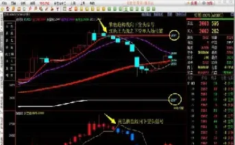 期货杠杆是一定的吗(期货的杠杆是什么意思) (https://www.njaxzs.com/) 期货开户 第1张
