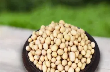 大豆期货为何地位高(大豆期货的作用) (https://www.njaxzs.com/) 期货开户 第1张