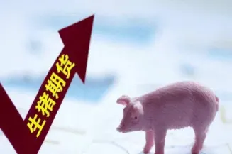 生猪的期货手续费怎么算(生猪期货一手手续费多少) (https://www.njaxzs.com/) 黄金期货 第1张