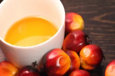 期货棕榈油标准(棕榈油期货合约) (https://www.njaxzs.com/) 期货直播间 第1张