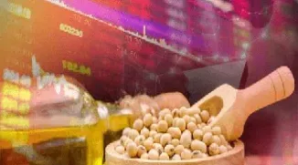 境内投资者参与境外期货投资(境外投资者参与股指期货) (https://www.njaxzs.com/) 期货直播间 第1张