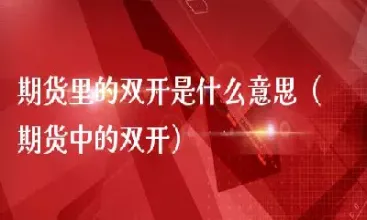 期货大飞龙是什么意思(期货里的大飞龙是什么) 期货直播间 第1张-爱新财经 期货大飞龙是什么意思(期货里的大飞龙是什么) (https://www.njaxzs.com/) 期货直播间 第1张