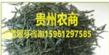 邯郸农产品期货(邯郸农产品期货交易市场) (https://www.njaxzs.com/) 内盘期货 第1张