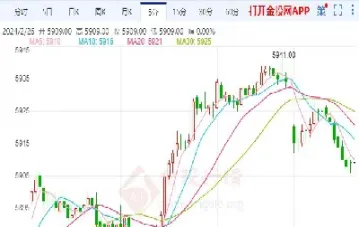 美国白银期货的杠杆(白银期货的杠杆是多少) (https://www.njaxzs.com/) 期货开户 第1张