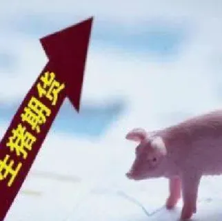 国外生猪期货交割厂标准(国外有生猪期货) (https://www.njaxzs.com/) 期货直播间 第1张