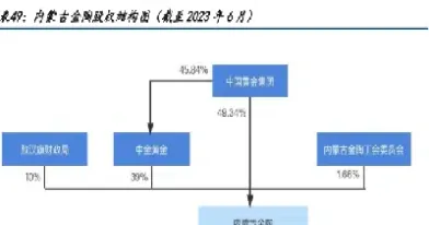 广金期货股权结构图解析(国富期货股权结构图) (https://www.njaxzs.com/) 黄金期货 第1张