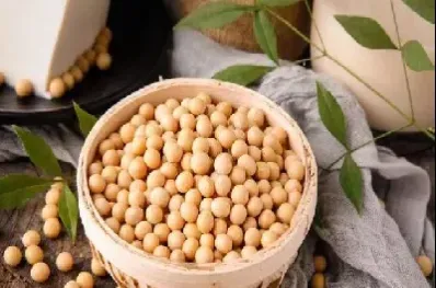 美国大豆期货做空(美国大豆期货开盘时间) (https://www.njaxzs.com/) 内盘期货 第1张