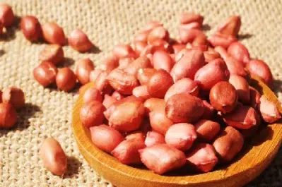 花生仁期货质量标准是多少(花生的期货代码是什么) (https://www.njaxzs.com/) 期货投资 第1张